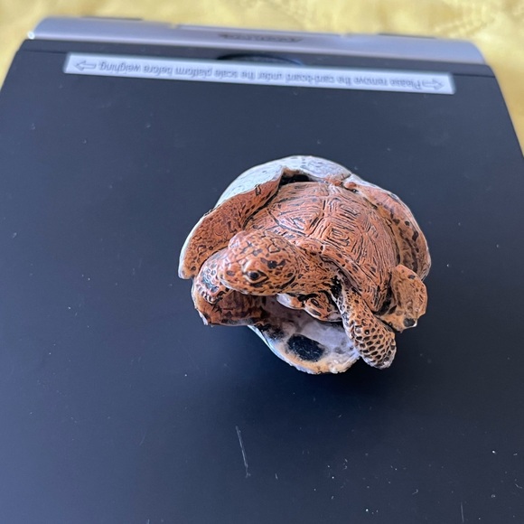 TORTOISE Rubber BABY Turtle Realistic - Picture 3 of 6